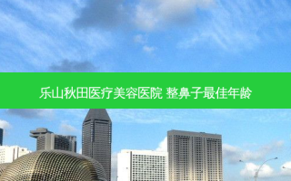 乐山秋田医疗美容医院 整鼻子 *** 年龄