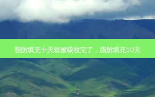 脂肪填充十天就被吸收完了，脂肪填充10天