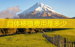 自体移植费用是多少