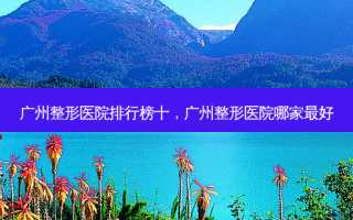 广州整形医院排行榜十，广州整形医院哪家 *** 