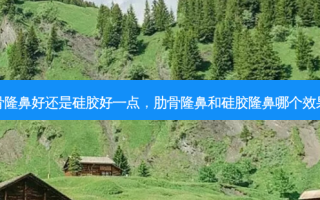 肋骨隆鼻好还是硅胶好一点，肋骨隆鼻和硅胶隆鼻哪个效果好