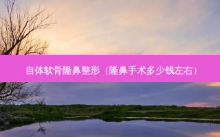 自体软骨隆鼻整形（隆鼻手术多少钱左右）