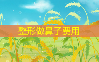 整形做鼻子费用