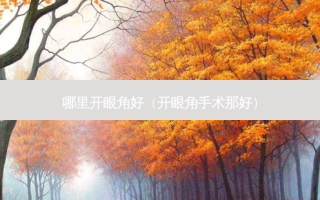 哪里开眼角好（开眼角手术那好）