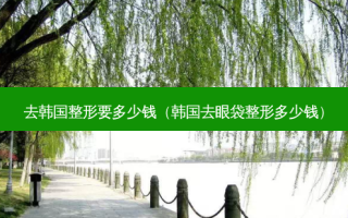 去韩国整形要多少钱（韩国去眼袋整形多少钱）