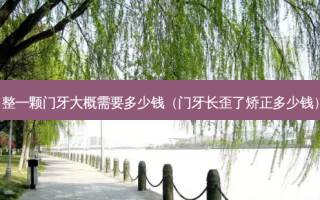 整一颗门牙大概需要多少钱（门牙长歪了矫正多少钱）