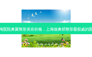 上海医院鼻翼整形美容价格，上海做鼻部整形 *** 的医生