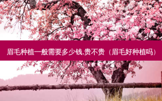 眉毛种植一般需要多少钱,贵不贵（眉毛好种植吗）