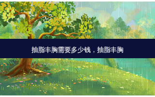 抽脂丰胸需要多少钱，抽脂丰胸