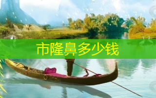市隆鼻多少钱