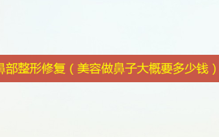 鼻部整形修复（美容做鼻子大概要多少钱）