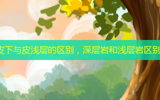 皮下与皮浅层的区别，深层岩和浅层岩区别
