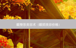 眼整形美容术（眼部美容价格）