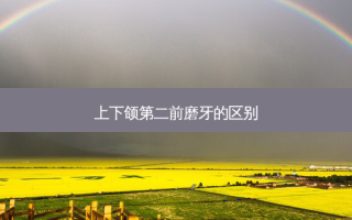 上下颌第二前磨牙的区别