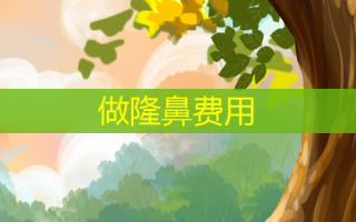 做隆鼻费用
