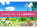 植发学什么专业，上海市皮肤病医院植发