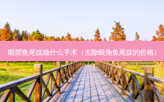 眼部鱼尾纹做什么手术（去除眼角鱼尾纹的价格）