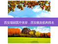 西安瑞丽医疗美容，西安植发机构排名