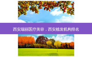 西安瑞丽医疗美容，西安植发机构排名