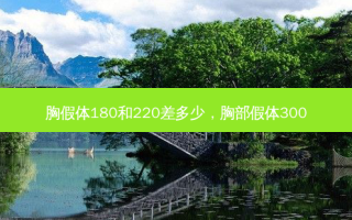 胸假体180和220差多少，胸部假体300