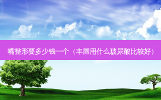 嘴整形要多少钱一个（丰唇用什么玻尿酸比较好）