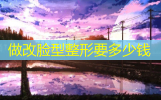 做改脸型整形要多少钱