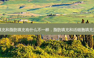 脂肪活细胞填充和脂肪填充有什么不一样，脂肪填充和活细胞填充是不是一样的