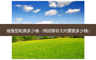 做脸型轮廓多少钱（韩国整容大约需要多少钱）
