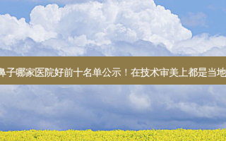 武汉做鼻子哪家医院好前十名单公示！在技术审美上都是当地TOP级！