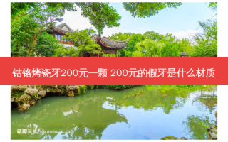 钴铬烤瓷牙200元一颗 200元的假牙是什么材质