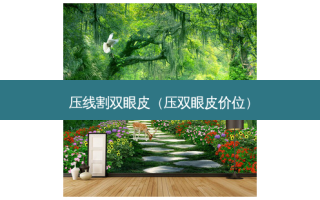 压线割双眼皮（压双眼皮价位）