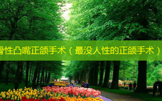 骨性凸嘴正颌手术（最没人性的正颌手术）