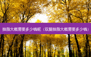 抽脂大概需要多少钱呢（双腿抽脂大概需要多少钱）