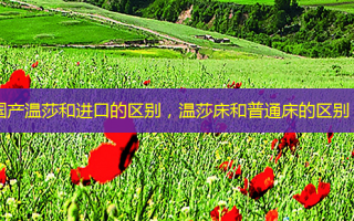 国产温莎和进口的区别，温莎床和普通床的区别