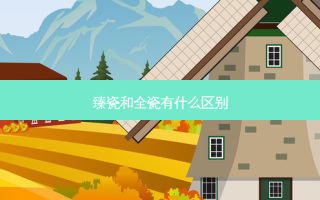 臻瓷和全瓷有什么区别