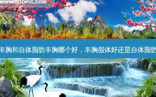 假体丰胸和自体脂肪丰胸哪个好，丰胸假体好还是自体脂肪好呢