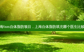 上海faas自体脂肪项目，上海自体脂肪填充哪个医生比较好