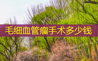 毛细血管瘤手术多少钱