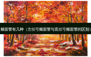 颊面管有几种（方丝弓颊面管与直丝弓颊面管的区别）