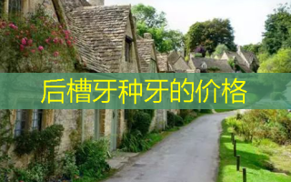 后槽牙种牙的价格