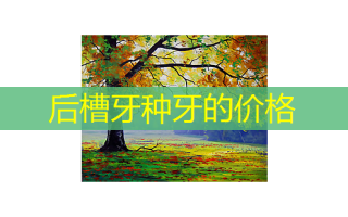 后槽牙种牙的价格