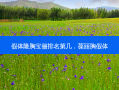 假体隆胸宝俪排名第几，葆丽胸假体