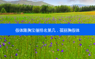 假体隆胸宝俪排名第几，葆丽胸假体
