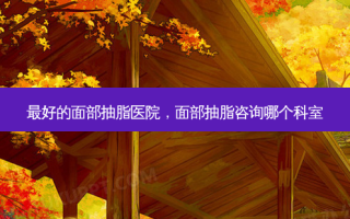  *** 的面部抽脂医院，面部抽脂咨询哪个科室