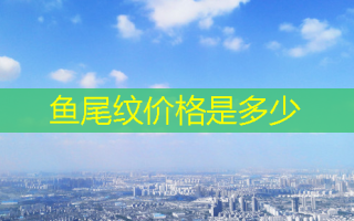鱼尾纹价格是多少