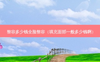 整容多少钱全脸整容（填充面部一般多少钱啊）