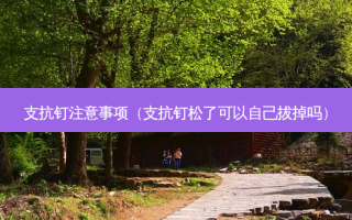 支抗钉注意事项（支抗钉松了可以自己拔掉吗）