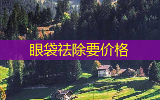 眼袋祛除要价格