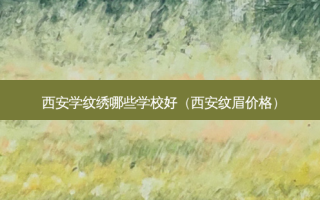 西安学纹绣哪些学校好（西安纹眉价格）
