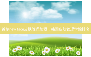 首尔new face皮肤管理加盟，韩国皮肤管理学院排名
